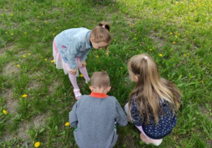 dzieci oglądają kwiaty na łące
